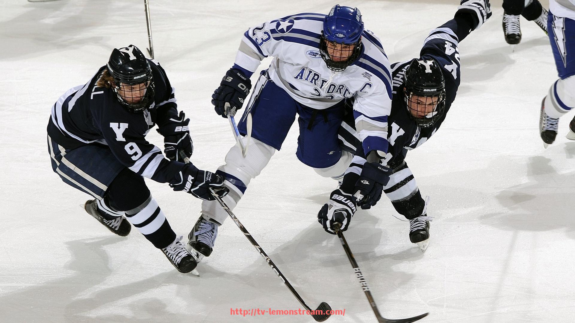 柠檬体育直播-打造生态赛事：世俱杯主办城市生态廊道建设规划发布